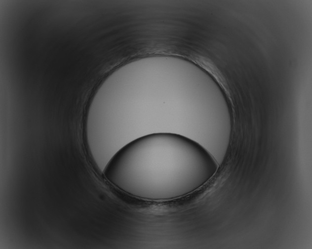 X0000090610441200707171047