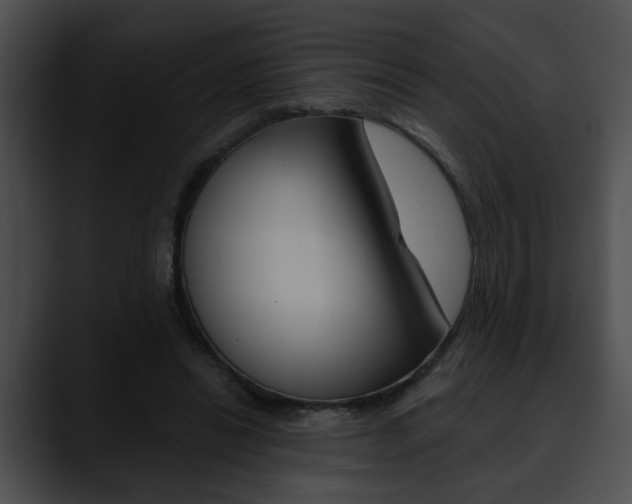 X0000090610446200707171047