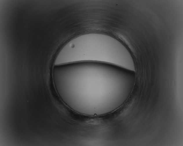 X0000090610447200707171047