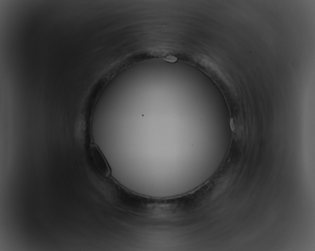 X0000090610448200707171047