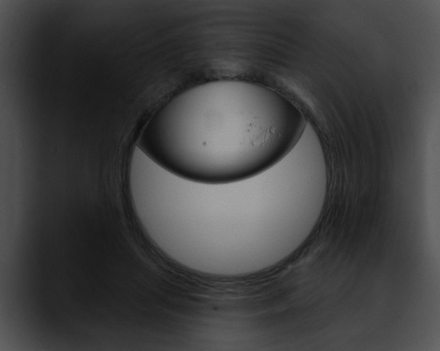 X0000090610455200707171047