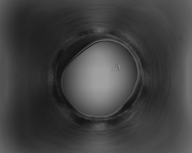 X0000090610456200707171047