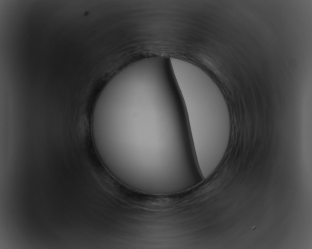X0000090610459200707171047