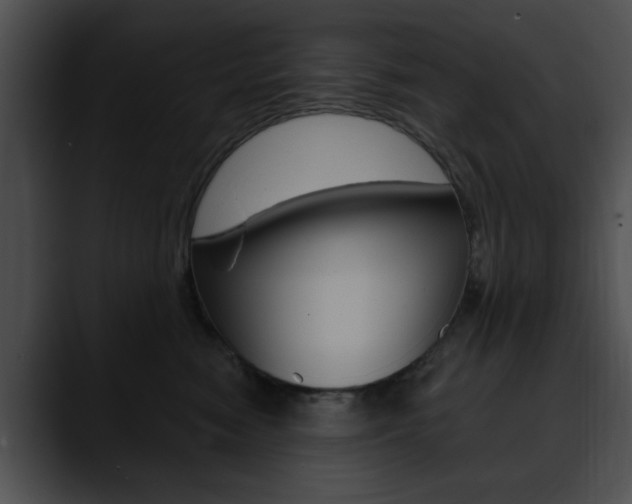 X0000090610474200707171048