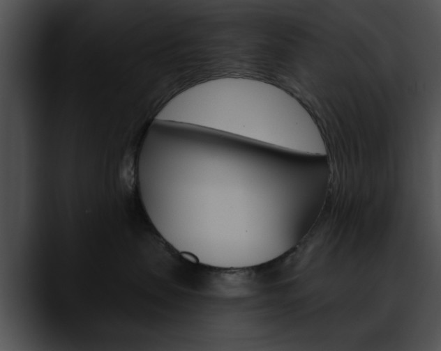 X0000090610479200707171048