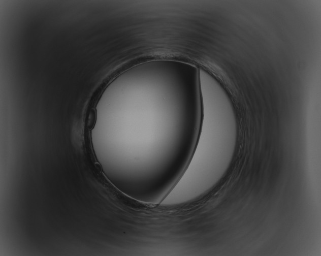 X0000090610484200707171047