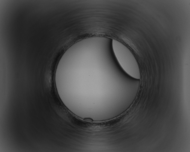 X0000090610494200707171047