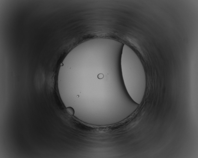 X0000090610495200707171047