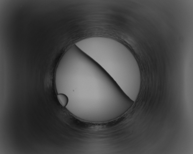 X0000090610499200707171047