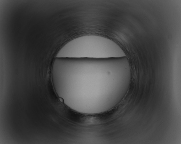 X0000090610507200707171047