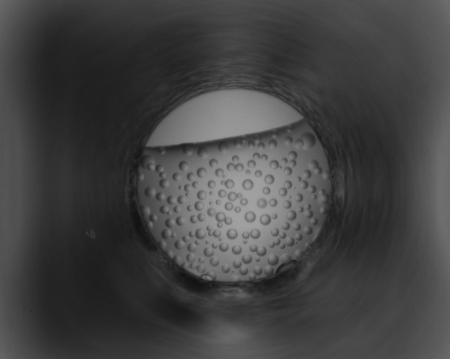X0000090610519200707171047