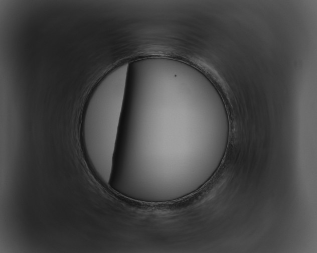 X0000090610529200707171046