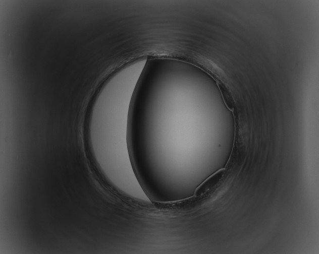 X0000090610530200707171046