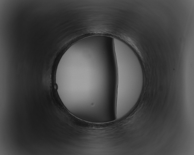 X0000090610531200707171046