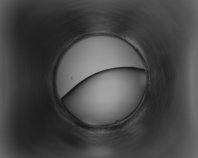X0000090610533200707171046