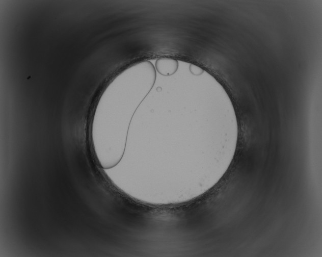 X0000090610534200707171046