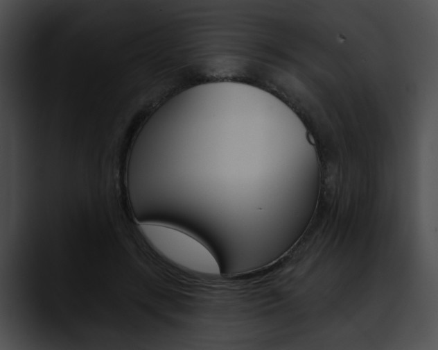 X0000090610547200707171046