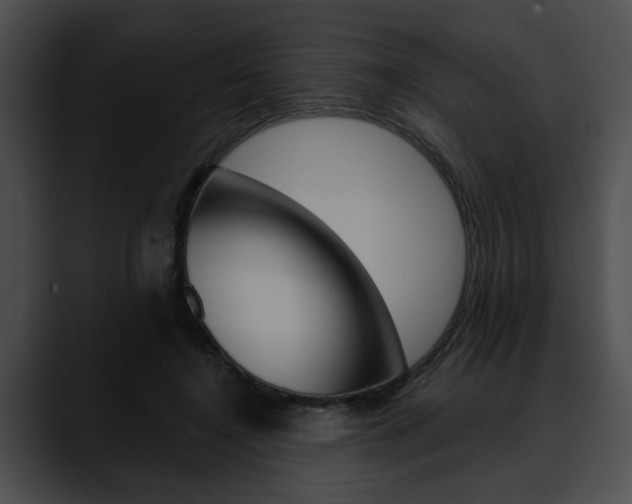 X0000090610548200707171046