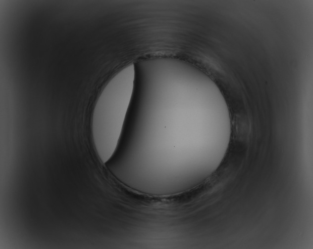 X0000090610550200707171046