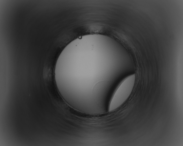 X0000090610551200707171046