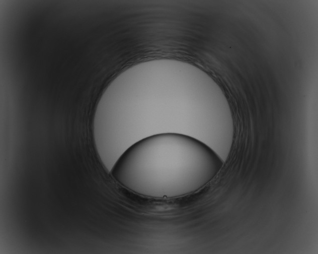 X0000090610555200707171046