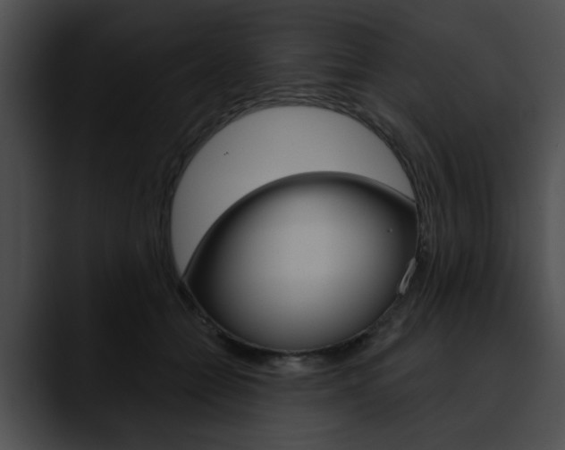 X0000090610558200707171046