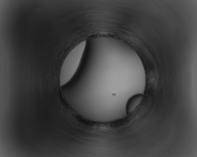 X0000090610559200707171046