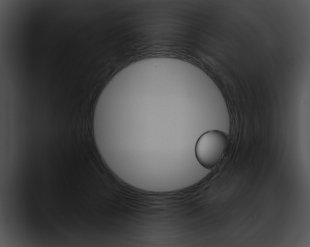 X0000090610560200707171046