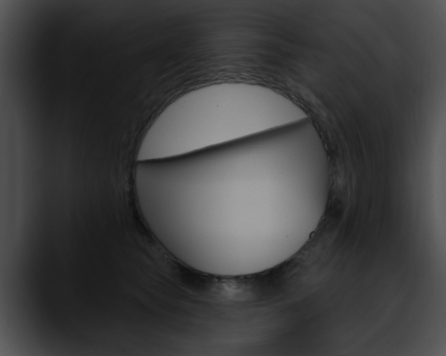 X0000090610565200707171046