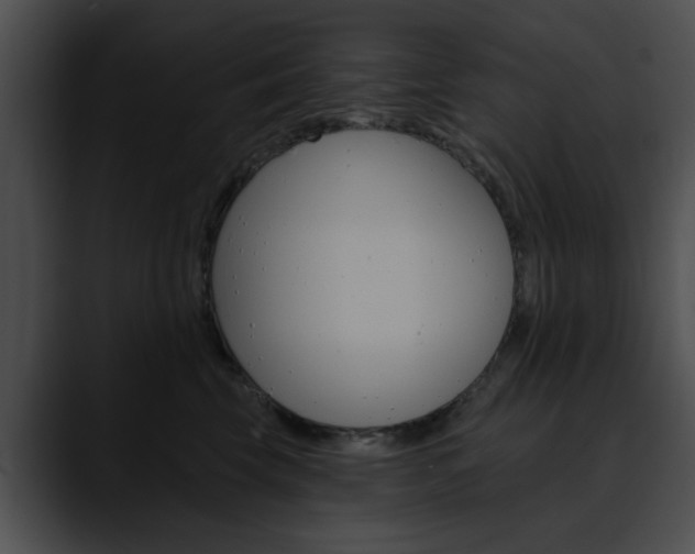 X0000090610569200707171046