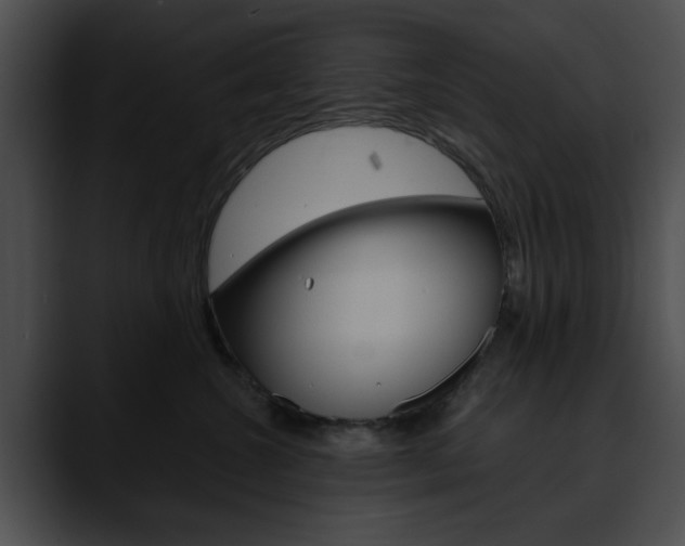 X0000090610572200707171046