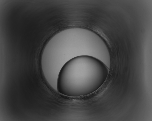 X0000090610585200707171046