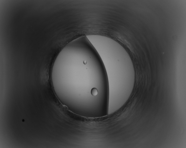 X0000090610593200707171046