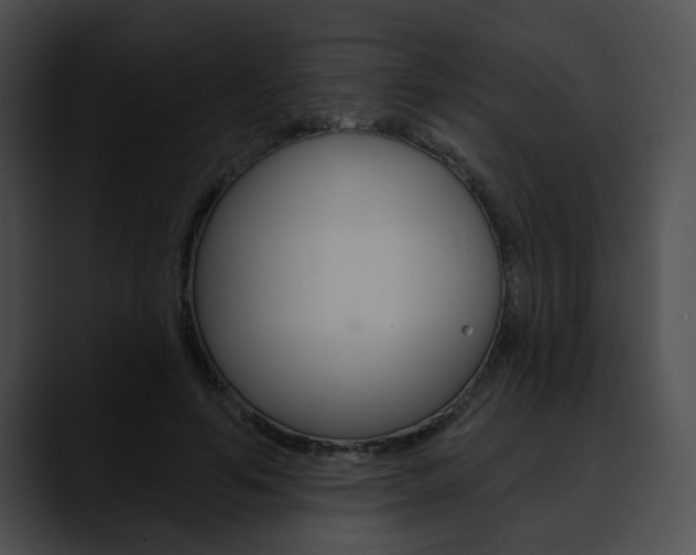 X0000090610594200707171046