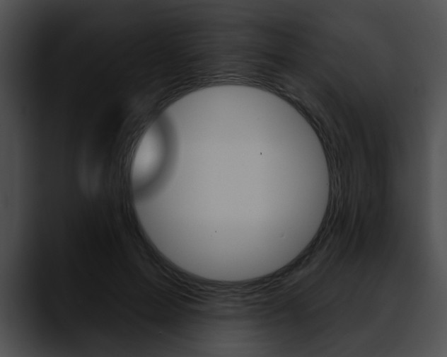X0000090610599200707171046