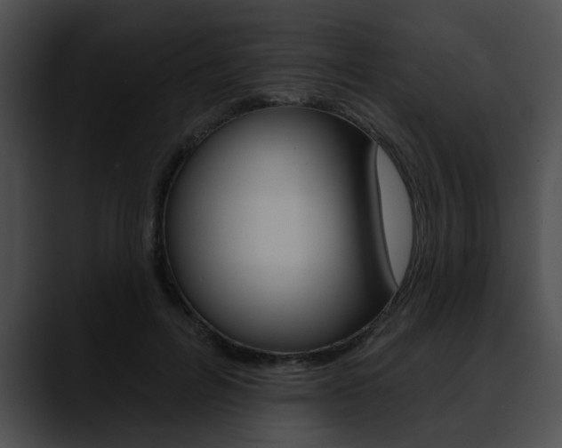 X0000090610600200707171046