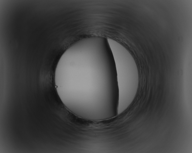 X0000090610603200707171046