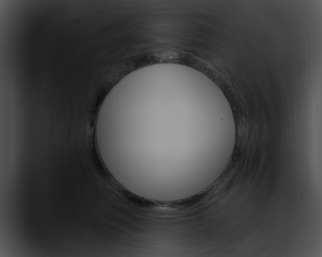X0000090610614200707171046