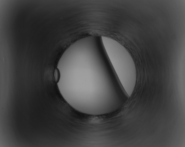 X0000090610616200707171045
