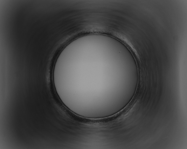 X0000090610629200707171045