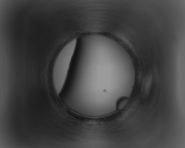 X0000090610635200707171045