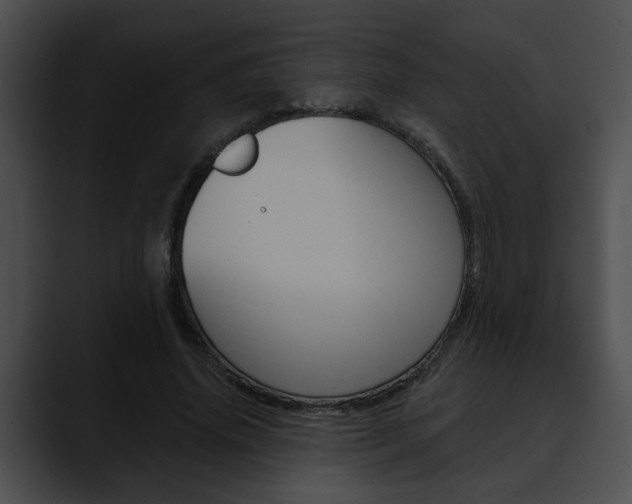X0000090610636200707171045