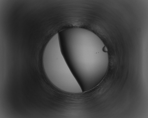 X0000090610639200707171045