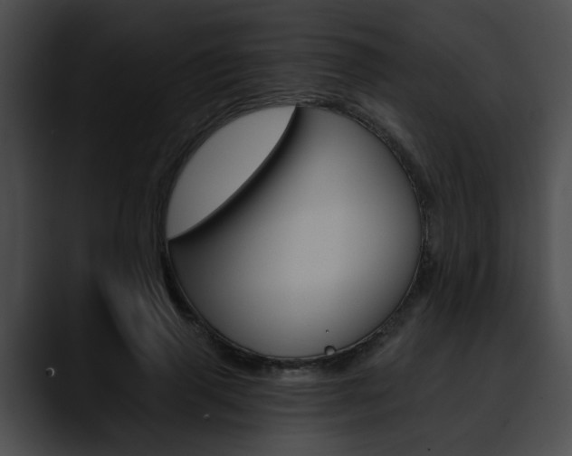 X0000090610645200707171045
