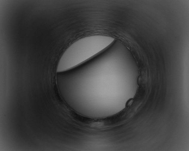 X0000090610653200707171045