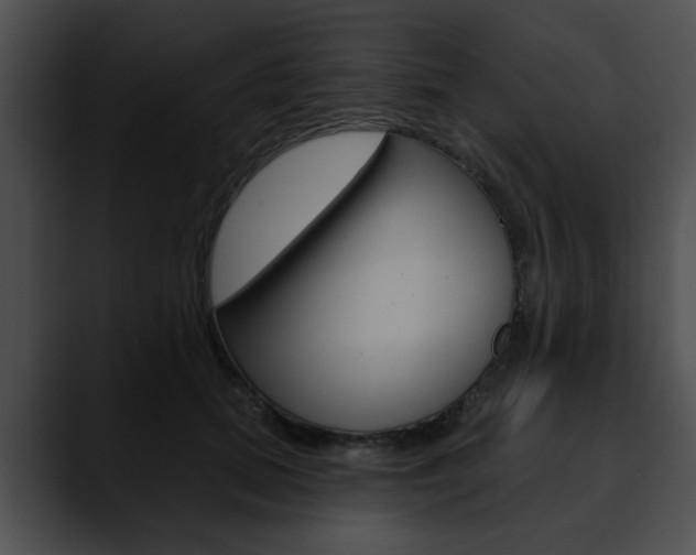 X0000090610655200707171045