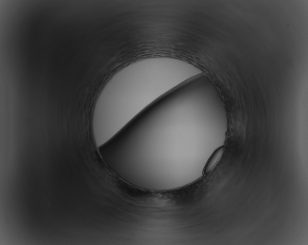 X0000090610656200707171045