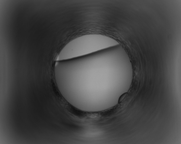 X0000090610659200707171045