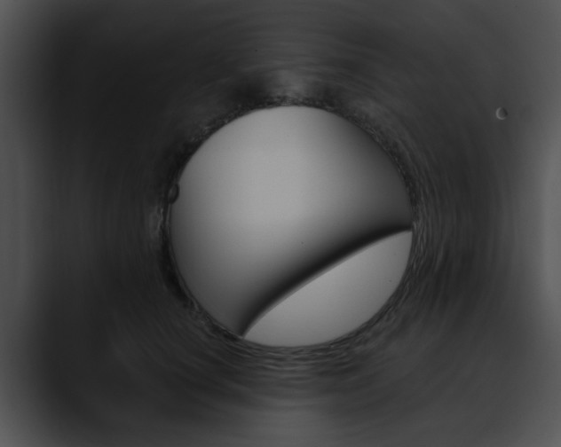 X0000090610660200707171045