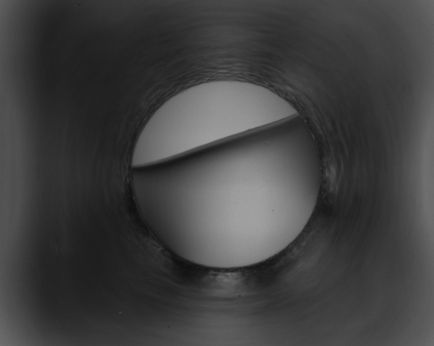 X0000090610665200707171045